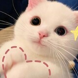 Daomiaowu