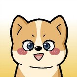 csgoxinqing