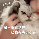 Amyzhanghuiyi
