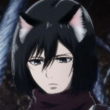 Mikasa Ackerman__