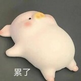 dangdaifeiwuqingnian