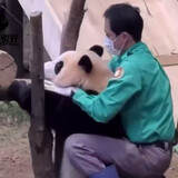 xiaoxiaoxiaoyaya