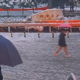 toutouxieqingshi