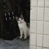 sudabing__angchimeihuabing