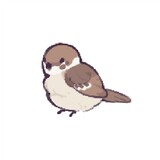 tianzhukui_kui