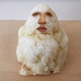 nishiwangbahaishibie