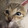 tiao___huasheng