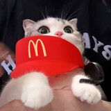 moyanchef