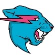 Mr beast _11