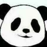 puruibalinpregabalin