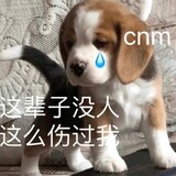 meihuoeryaodahuoji