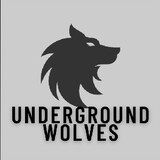 HEAVENLYWOLF