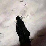 xiaoyugaoxiaopandian