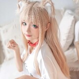 daohangjiaao