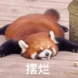 ---nanguo---