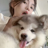 shixiaoxiaoqinie