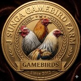 J.SungaGameBird