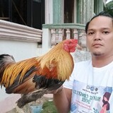 Editho Elizalde Venc
