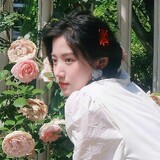 -yubaobao_