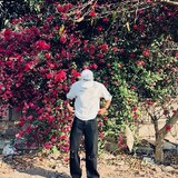 hamza_nambardar_001