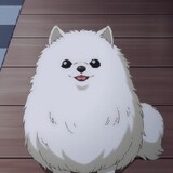 Yuki phantomhive