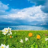 xinjiang-xiaoyue