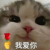 shidongliya
