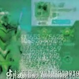 zha-zhashi_zuiqiang