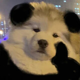 tanwanxiaoxiong___er