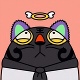 aiwosuoaizh