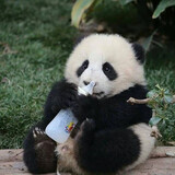 lingtingfangxiang