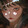 gufei-