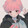 Shiroi. T