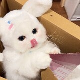 xiaomiaoaowuwuwuwu