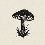 The Mushroom Catalog