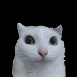 yiduoaigc