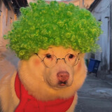 xiaoju___uango