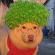 creator avatar