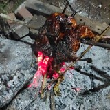 ghoib_id