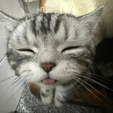 mingpai
