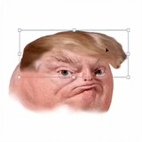 qwqziran