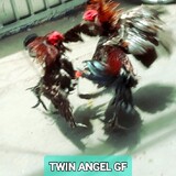 Twin/Angel