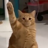 wojiushiyaobaipiao