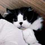 jimi___jimmy