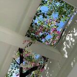 Lngshot4sho_6770