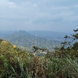 xihuanluyayidiandian