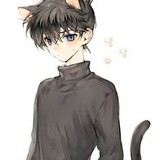 shinichikodou