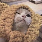 moao___mi