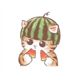yanyanyufei
