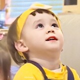 wion_1